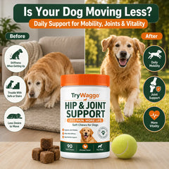 Powder for Dogs (90 servings)