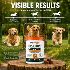 Powder for Dogs (90 servings)