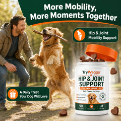 Hip & Joint Soft Chews for Dogs (90 chews)
