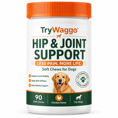 Hip & Joint Soft Chews for Dogs (90 chews)